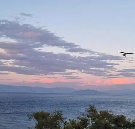 מלון דירות Ionian Mare אגיוס יואניס פריסטרון